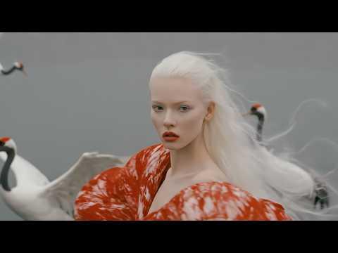 THE FLAMINGO DANCE | Official Surreal AI Music Video
