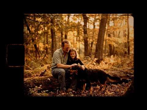 Still A Hero (A Thousand Leaves)