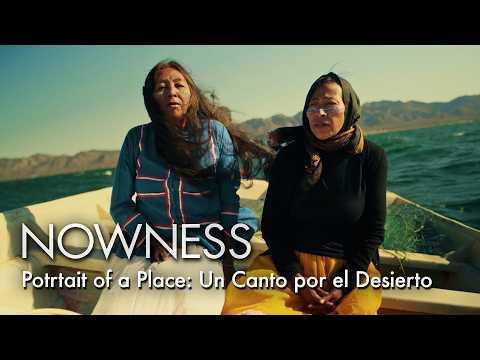 On Mexico’s Sonoran coast, Indigenous Comcaac women root ancestral basket weaving in the paranormal