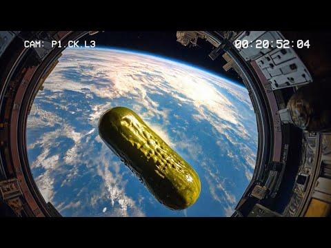 Inner Pickle: Runway Gen:48 3rd Edition