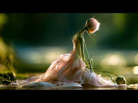 The Beauty That Waited