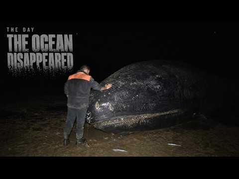 THE DAY THE OCEAN DISAPPEARED — Teaser Trailer | A Photoreal AI Film