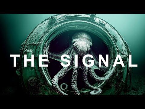 The Signal - AI Horror Film Competition 2024