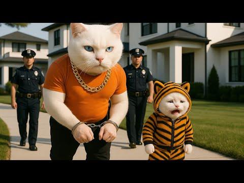 Kitten Hunts Tiger & Faces Justice: Emotional Jungle Story