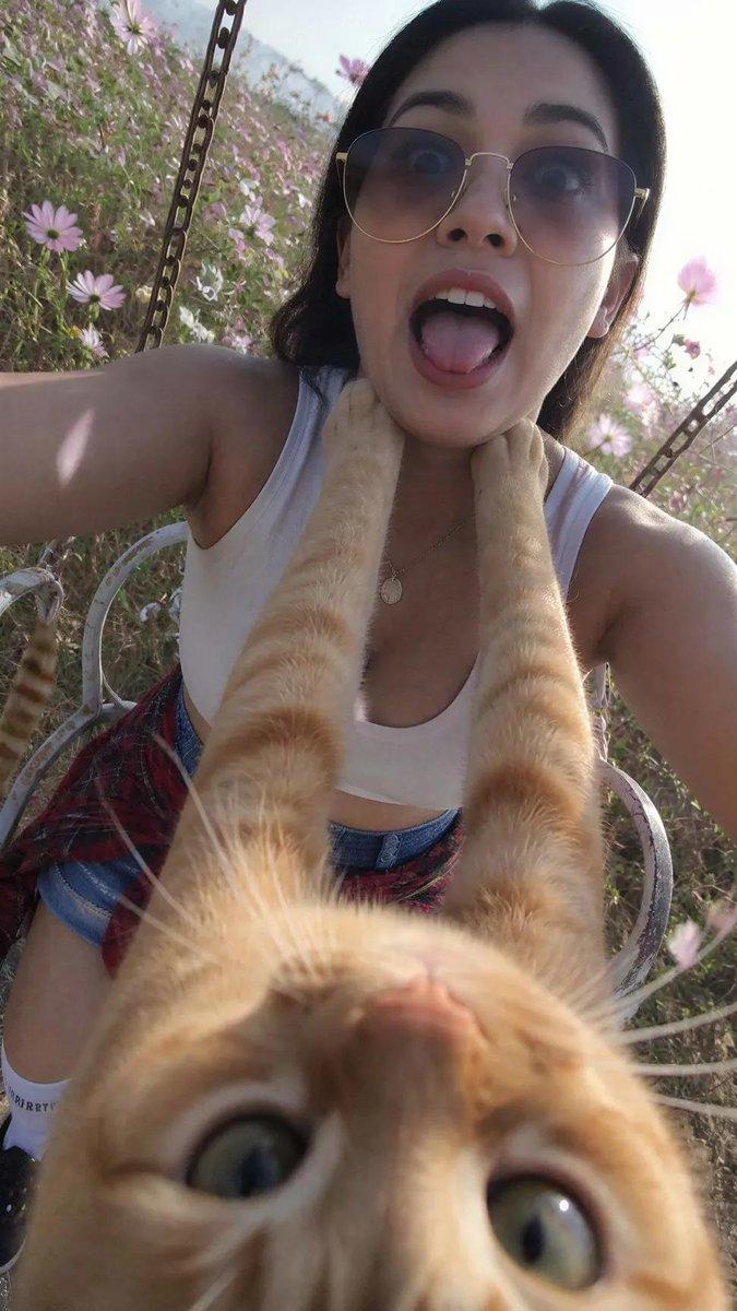 Promptforhåndsvisning: Funny Cat POV Selfie