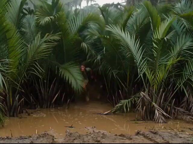 提示词预览: 变异鳄鱼丛林大逃亡