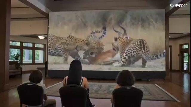 プロンプトのプレビュー: 魔法の映画館:鹿の救出劇