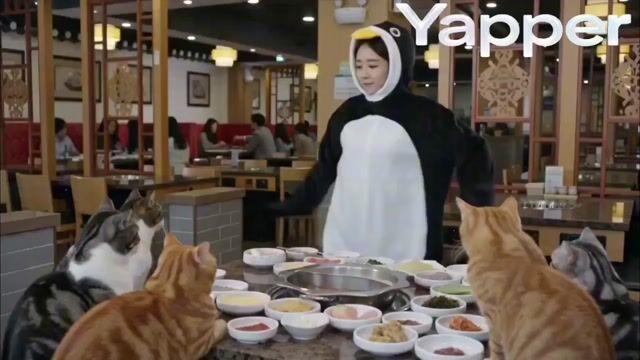 プロンプトのプレビュー: 猫鍋レストランのペンギンダンサー