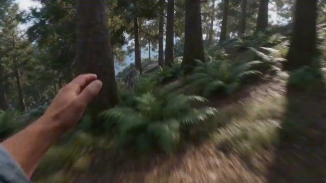 プロンプトのプレビュー: 猫の海賊による一人称視点の FPV チェイス&レスキュー