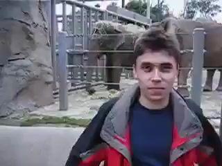 プロンプトのプレビュー: 動物園の男性と象(古いカメラ風)