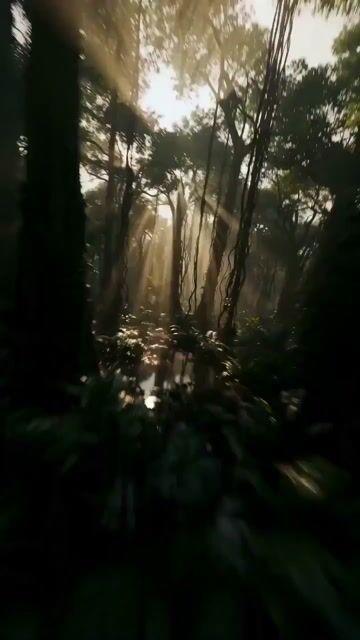 提示詞預覽: FPV 無人機穿越提卡爾 (Tikal) 的鏡頭