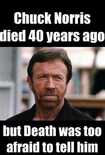 ตัวอย่างพรีวิวพรอมต์: วิดีโอมีม Chuck Norris สุดคลาสสิก