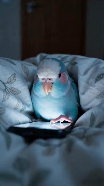 プロンプトのプレビュー: ペットのインコの秘密の生活
