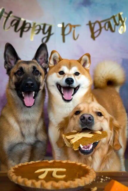 提示詞預覽: 狗狗們用南瓜派慶祝圓周率日