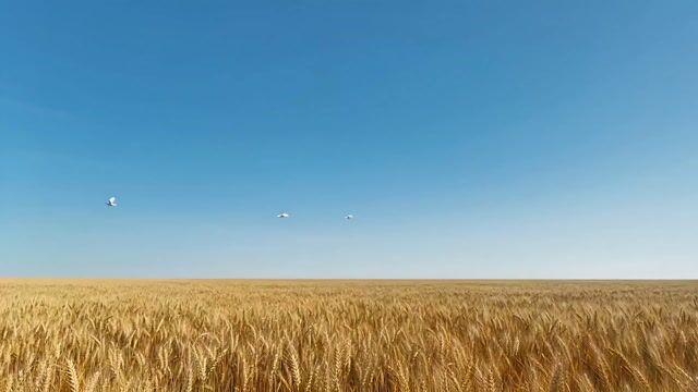 Pré-visualização do prompt: Prompt de Vídeo de Megalofobia Surrealista com Detalhes da Cena