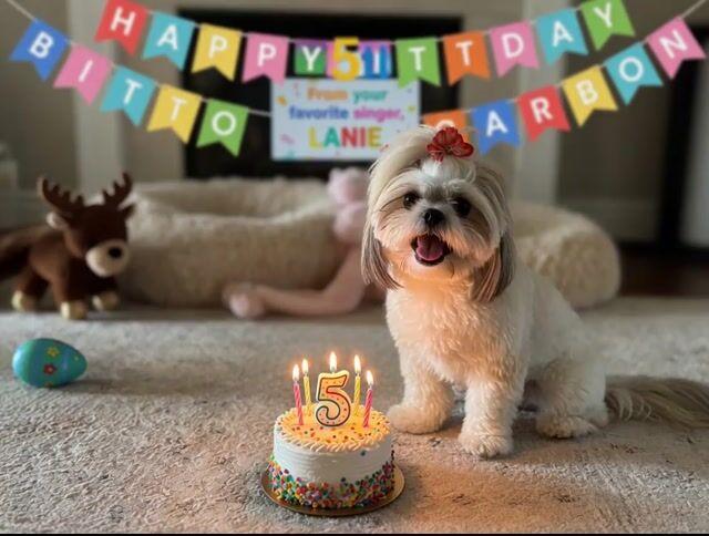 Pratinjau prompt: Singing Dog Birthday Video