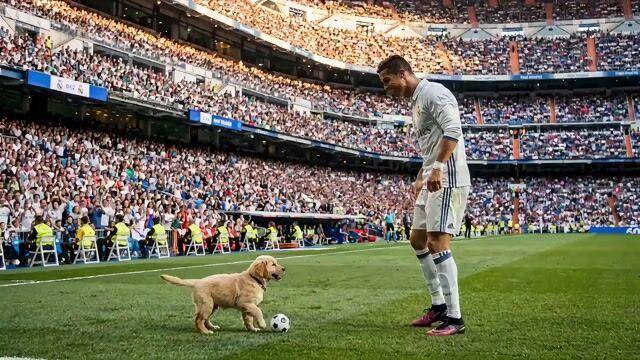 プロンプトのプレビュー: チャンピオンズリーグ決勝での犬 vs. 全盛期のロナウド