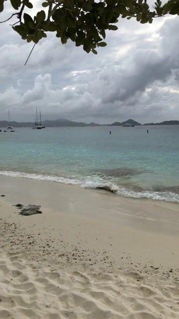 Aperçu du prompt: Prompt vidéo : Pélicans et promeneurs sur la plage