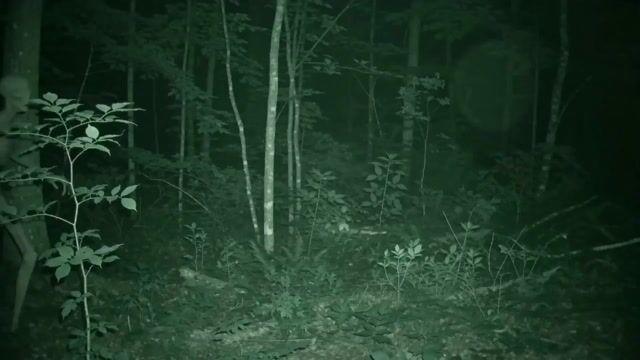 プロンプトのプレビュー: スキンウォーカーの暗視カメラ映像
