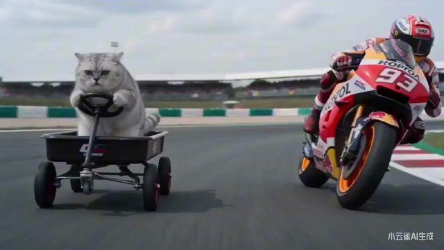 提示词预览: 小猫 MotoGP 比赛电影化提示