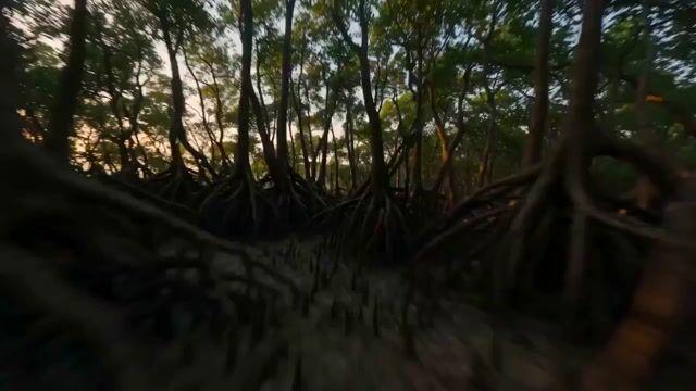プロンプトのプレビュー: FPV で巡る古代インド王国の空撮映像