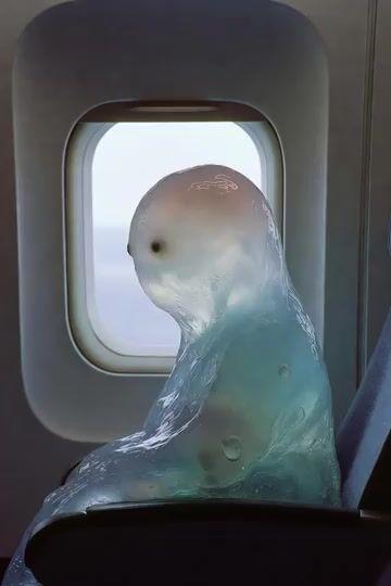 Aperçu du prompt: Un blob aspiré hors d'un avion