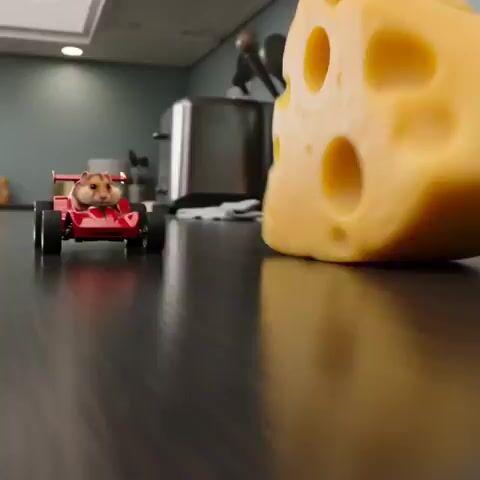 プロンプトのプレビュー: ハムスターのチーズ大追跡