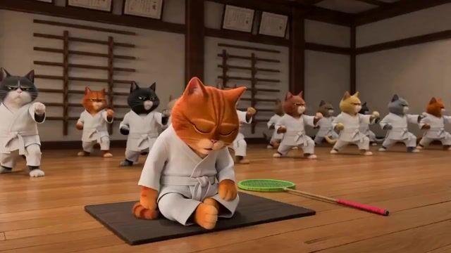 İstem önizlemesi: Taekwondo Cat Rooftop Chase