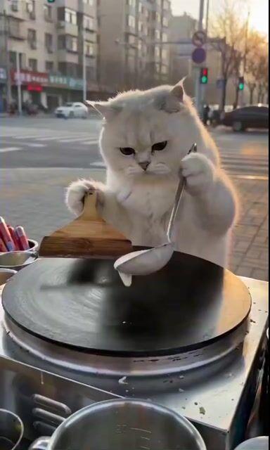 Promptvoorbeeld: Cat Making Pancakes (Jianbing) - Seedance Cute Pet Series