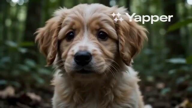 Превью промпта: AI Animal Rescue Cinematic Montage
