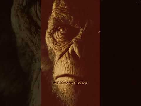 Ep 27: The Neanderthal Bargain (Rome & The Cosmic Nullifier)