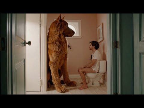 How to Train Your Human