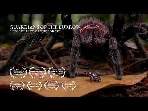 Guardians of the Burrow