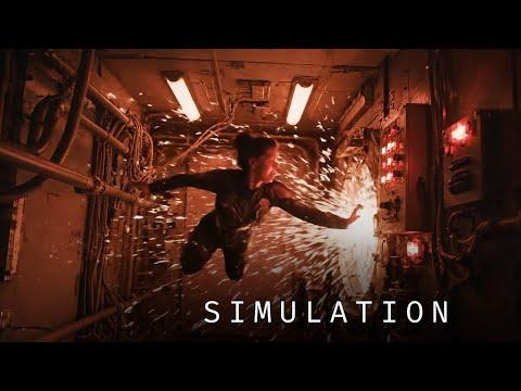 The Simulation